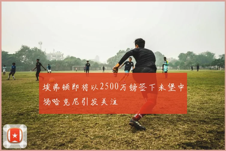 埃弗顿即将以2500万镑签下米堡中场哈克尼引发关注